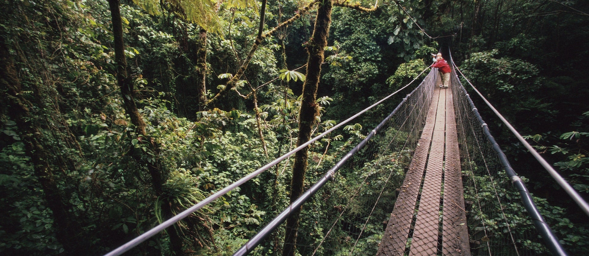 Monteverde Cloud Forest & Playa Hermosa