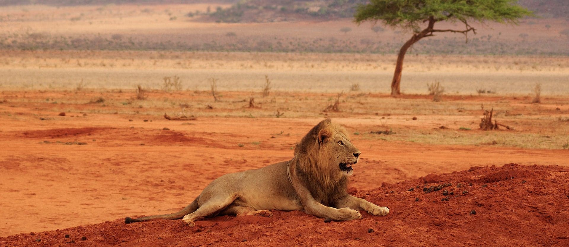 Kenia y Zanzíbar: Safari y Playas