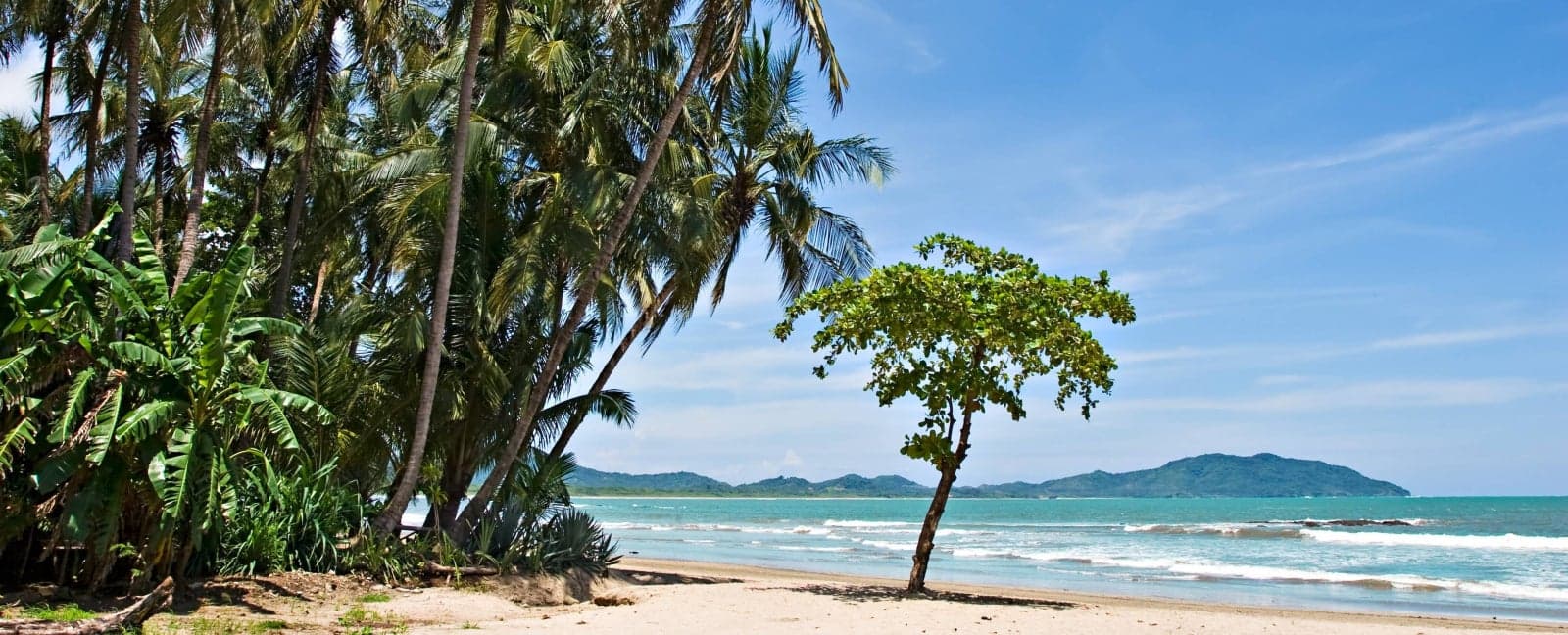 Tamarindo