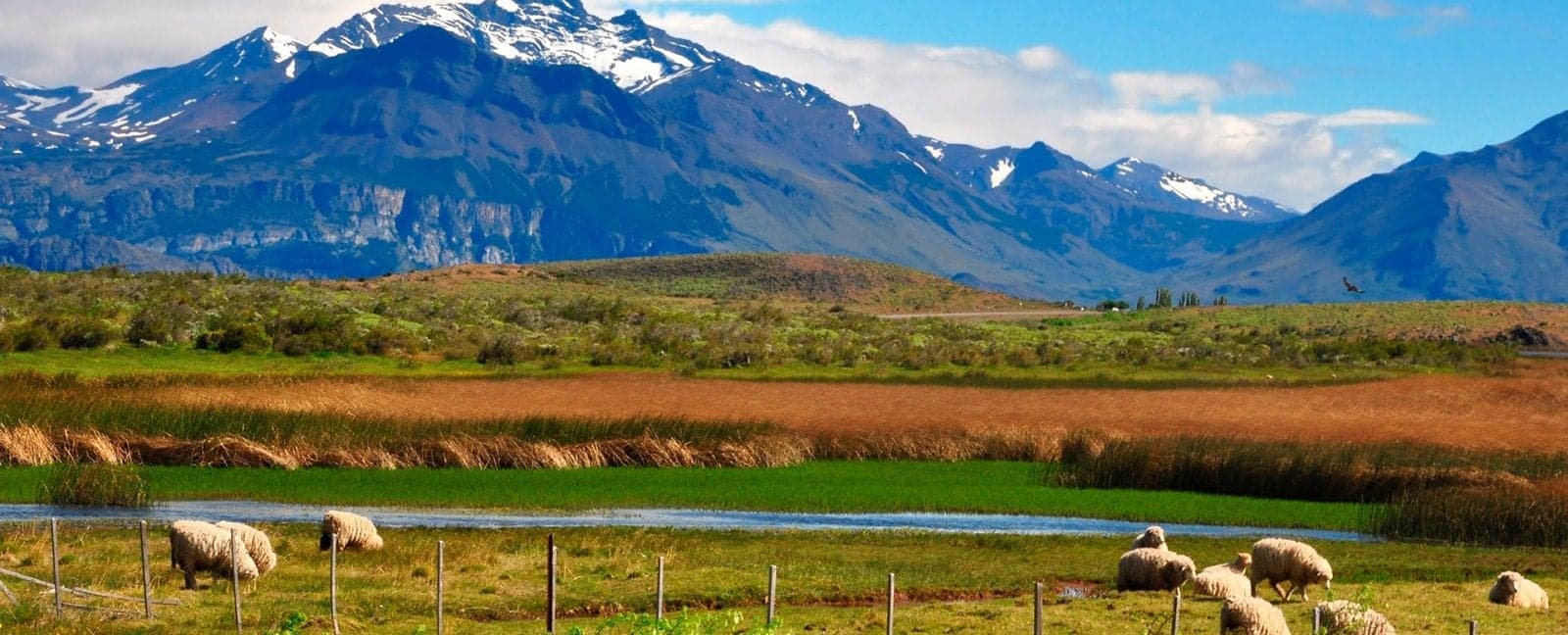 Buenos Aires - El Calafate