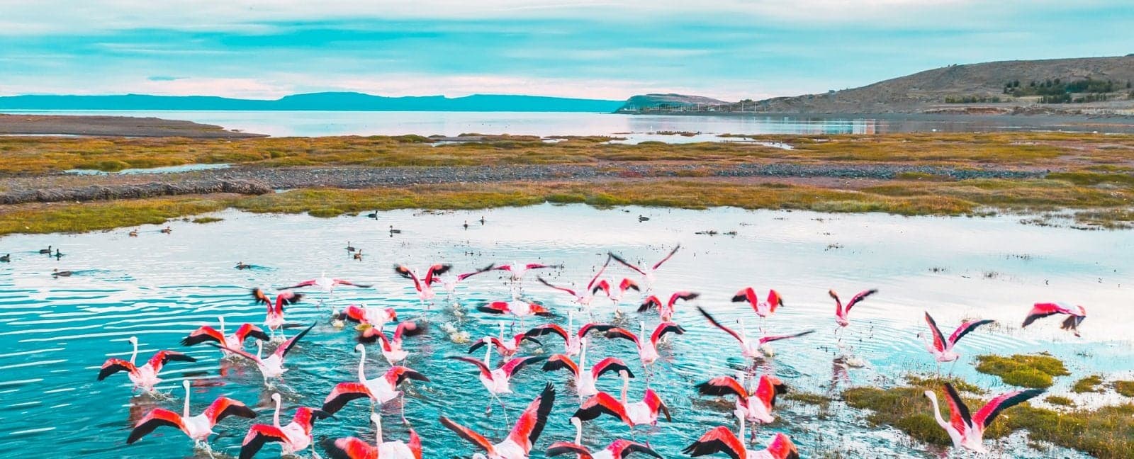 El Calafate