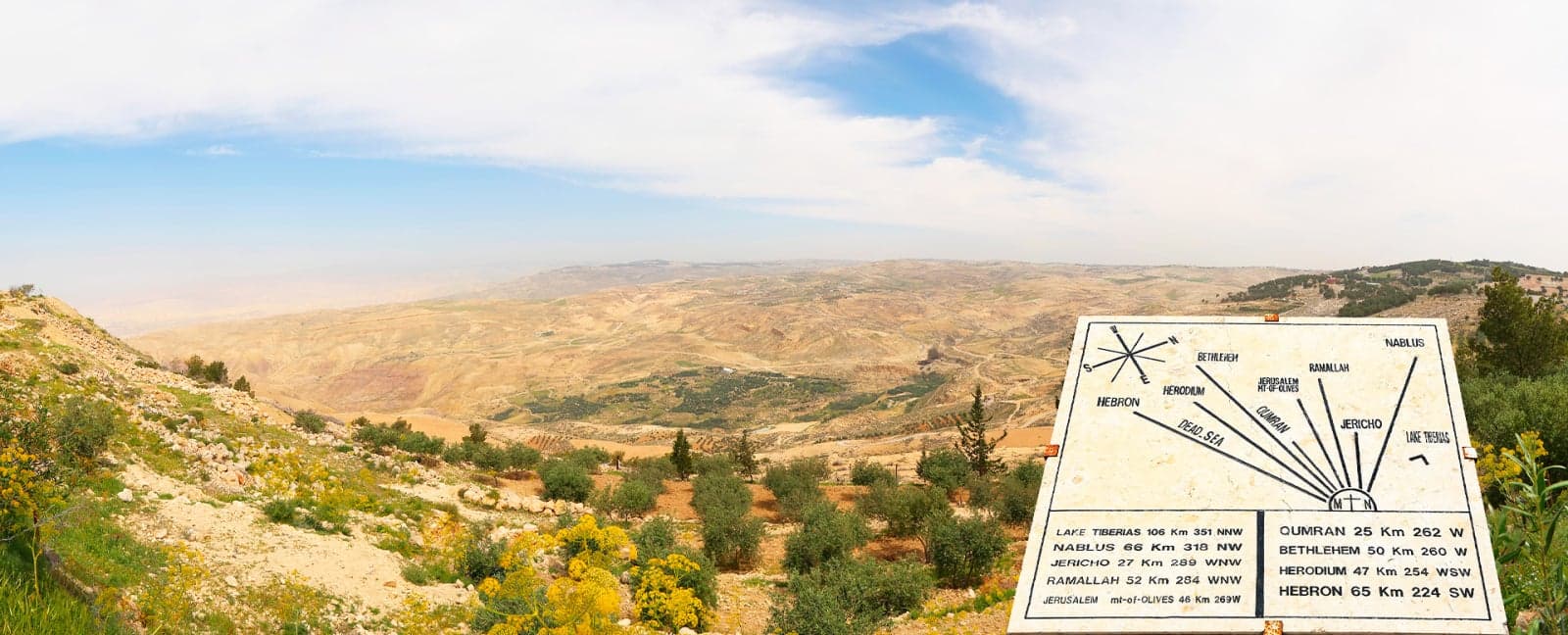 Amán - Madaba - Monte Nebo - Castillo Shobak - Petra