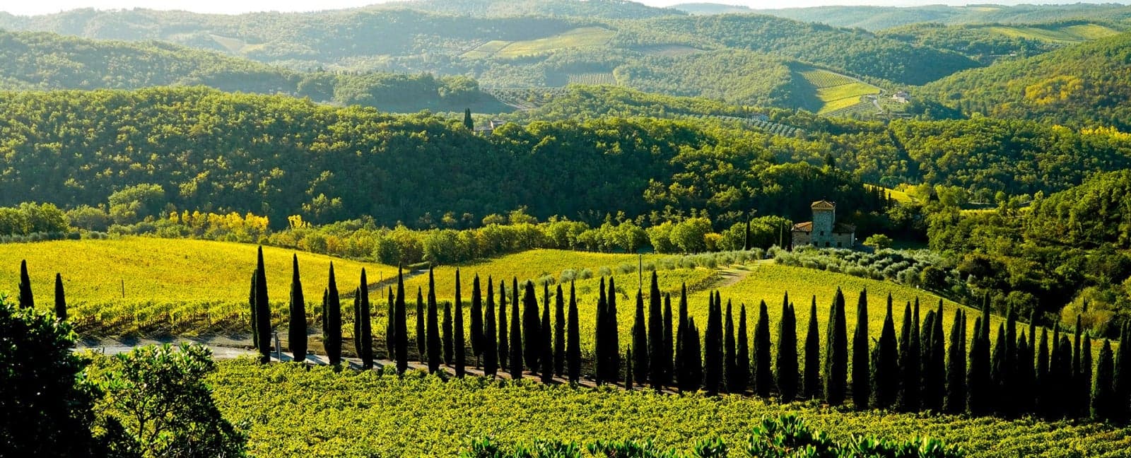 España - Florencia- Montecatini Terme