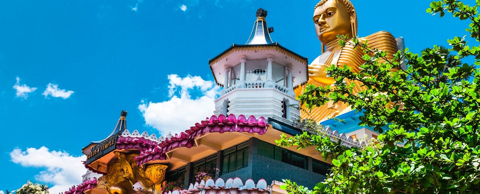Negombo - Dambulla