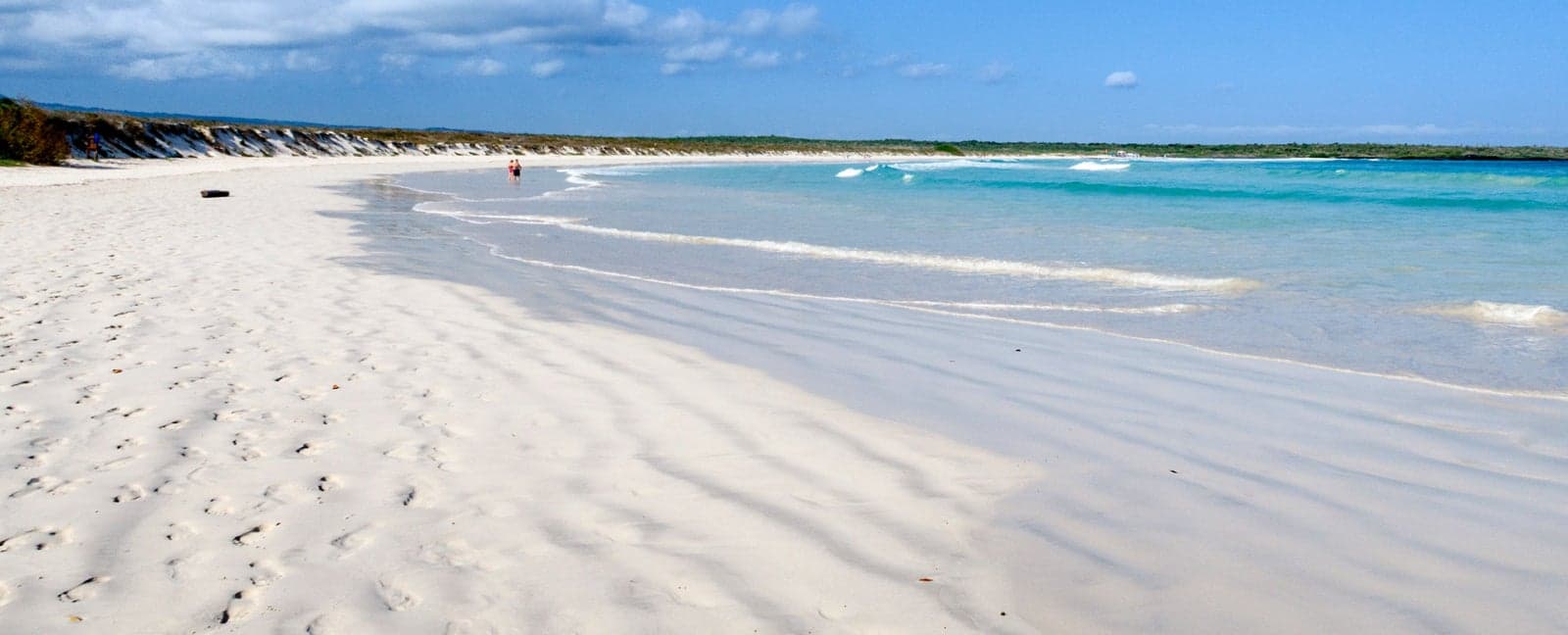 Isla Santa Cruz