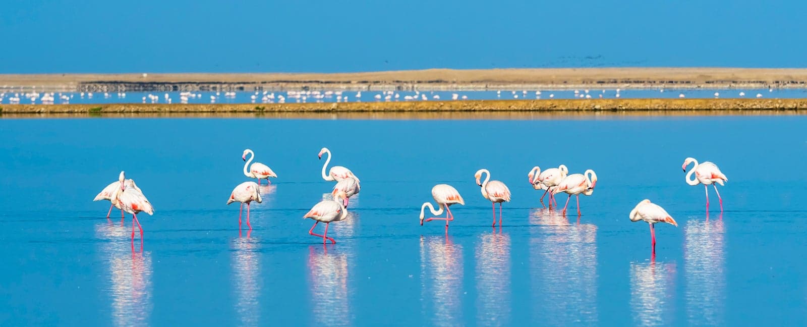 Damaraland - Swakopmund