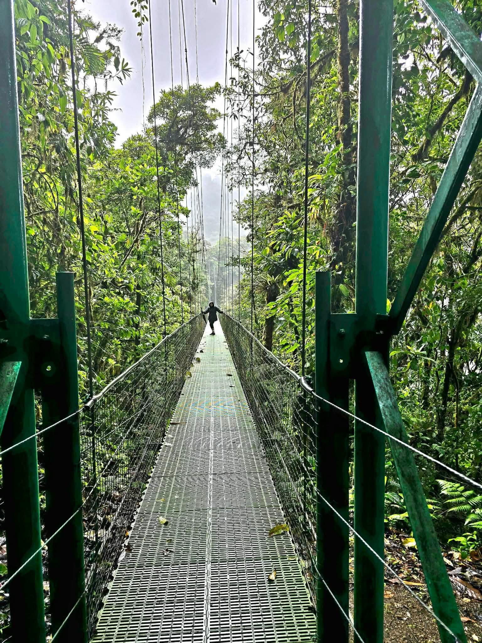 Suspension hanging bridge framed by green supports with a person standing mid-span in Monteverde Cloud Forest, Costa Rica.