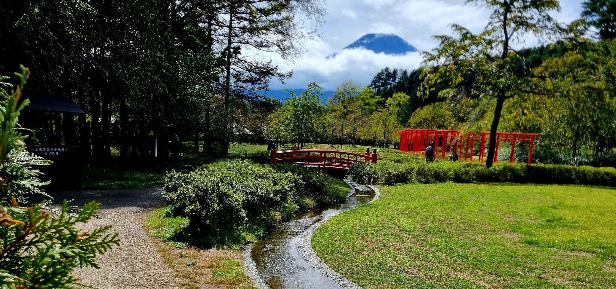 Mount Fuji rising above clouds with a red arched bridge and torii gates beside a winding stream in a Japanese garden, Japan.