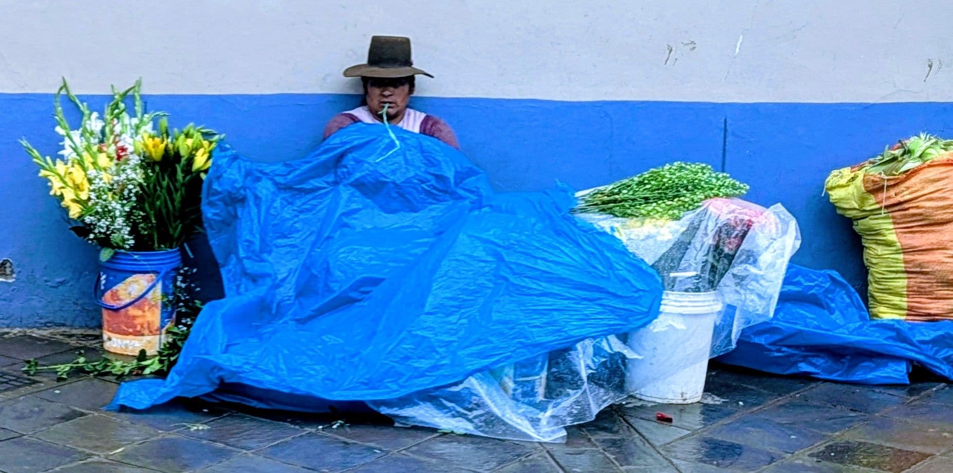 Flower vendor seated against a blue wall, covered by a blue tarp, with buckets of bouquets on a wet Cusco, Peru sidewalk.