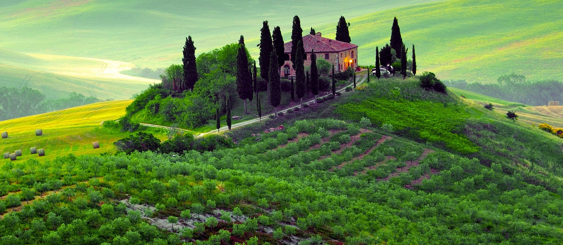 Treasures of Tuscany & Cinque Terre