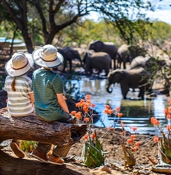 Familias: safari, playas y Table Mountain 