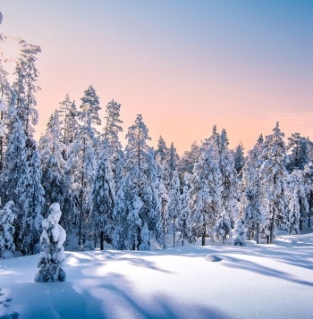 Arctic Magic: Winter Adventure in Lapland