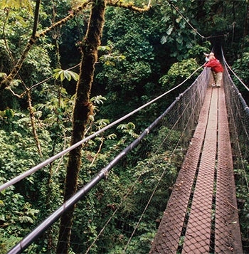 Monteverde Cloud Forest & Playa Hermosa