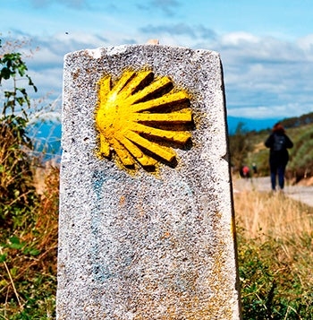 Pilgrimage Journey: The Camino de Santiago