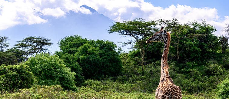 Sehenswertes in Tansania Arusha National Park