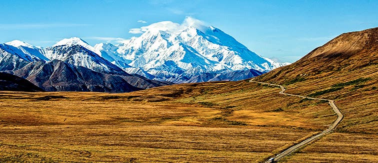 What to see in United States Denali National Park