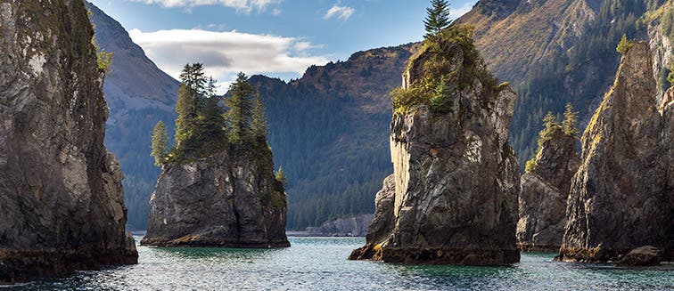 What to see in United States Kenai Fjords