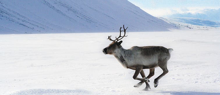 Sehenswertes in Finnland Kuusamo