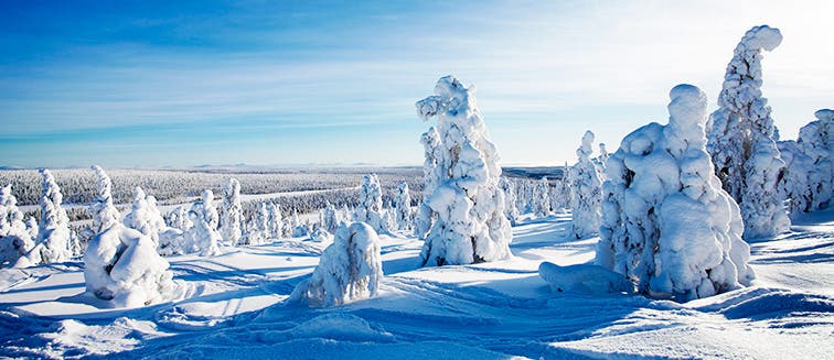 Qué ver en Finlandia Salla