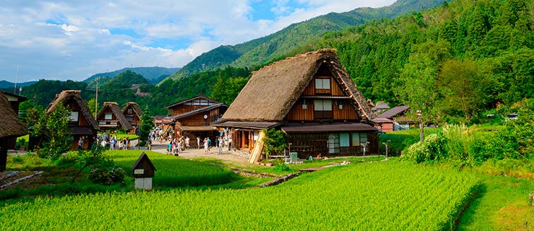 Qué ver en Japón Shirakawa-go