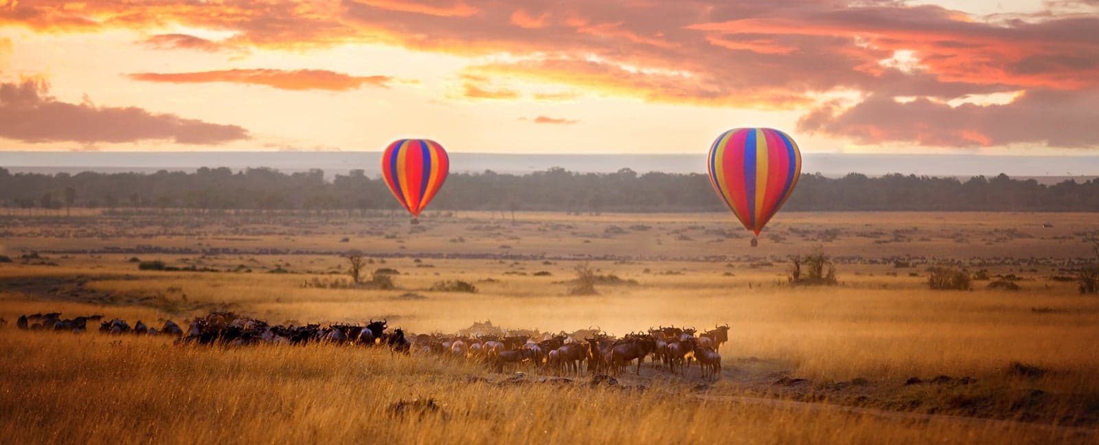Maasai Mara National Reserve - Nairobi