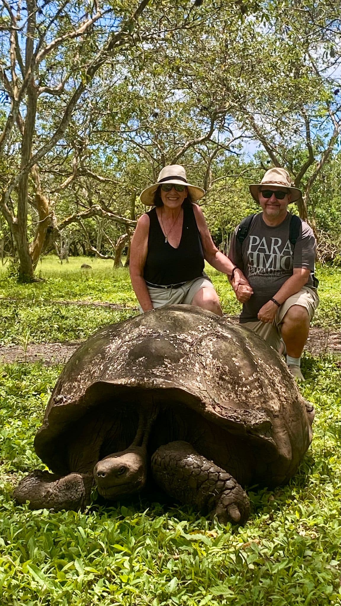 Galápagos tortoise resting on grass with two travelers kneeling behind it on Santa Cruz Island, Galápagos, Ecuador.