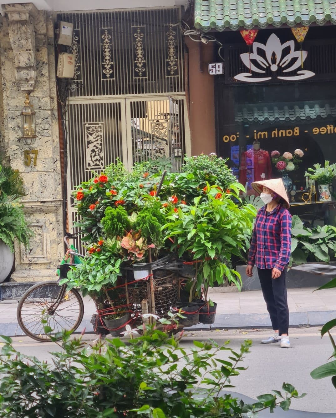 Bicycle overflowing with potted plants parked on a street beside a masked vendor wearing a conical hat, Vietnam