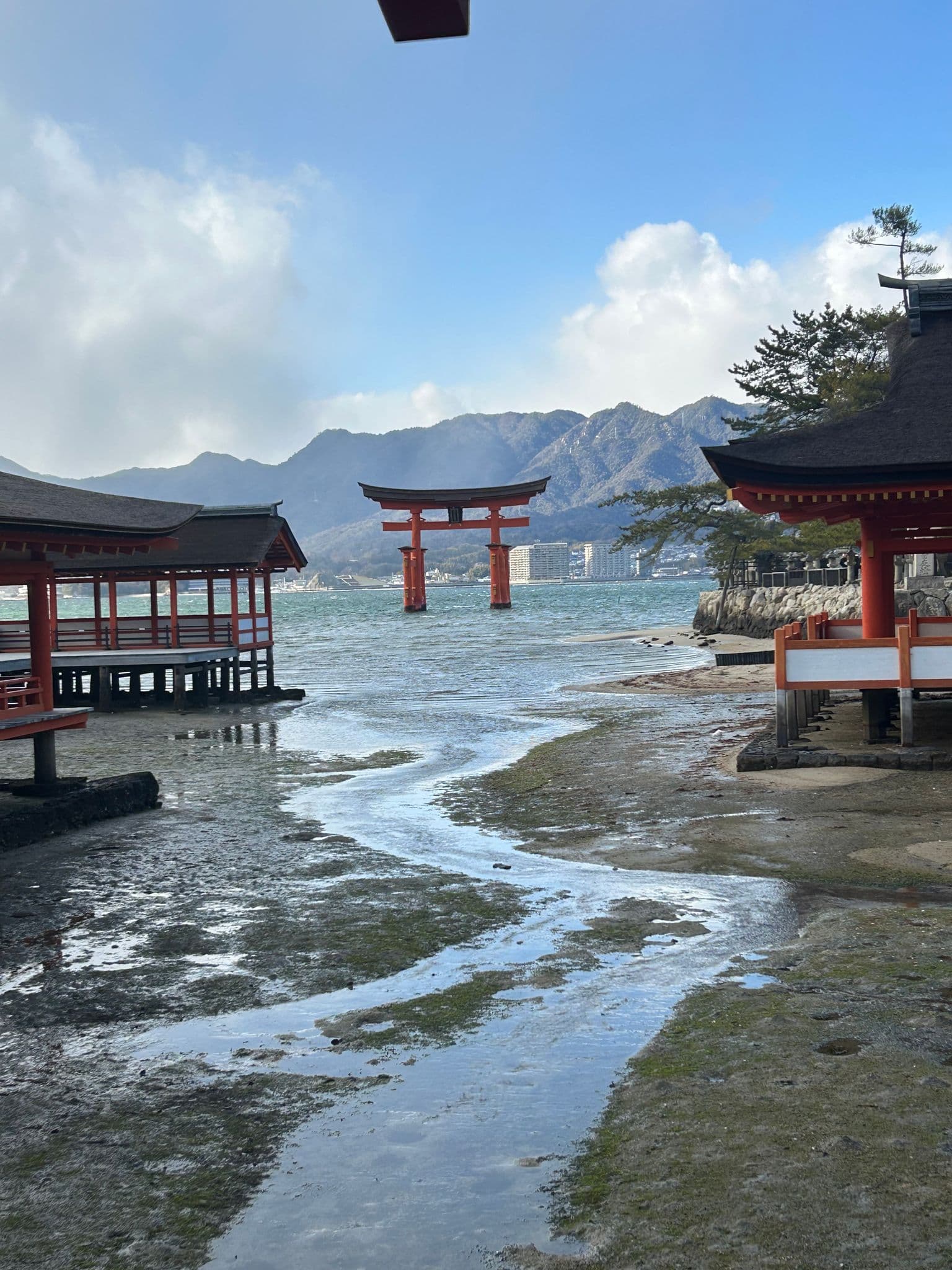 Itsukushima Shrine torii gate standing in the sea with shrine buildings on the shoreline, Miyajima (near Hiroshima), Japan.