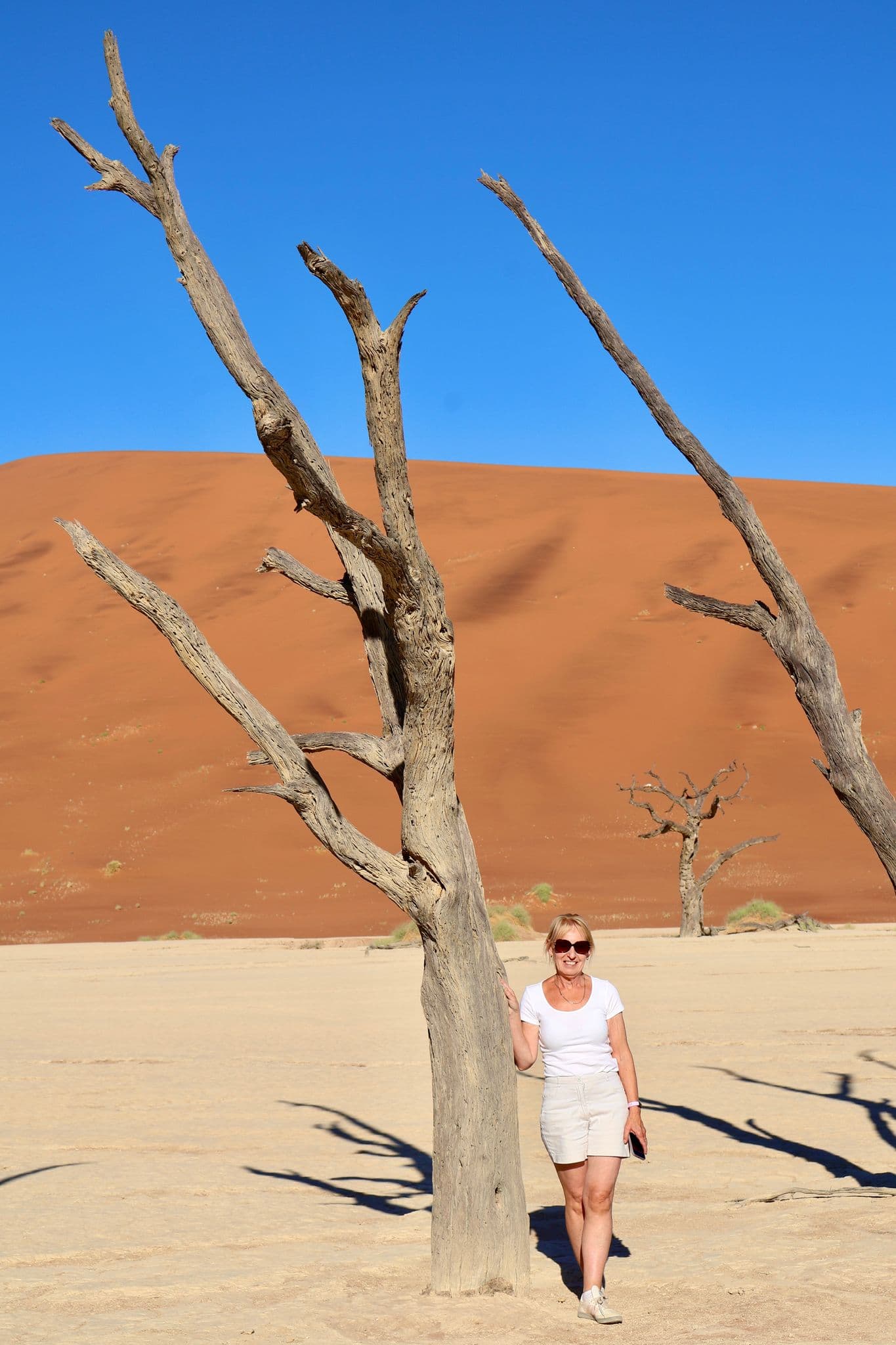 Dead acacia trees in Deadvlei salt pan with a woman leaning against a trunk and Sossusvlei dunes in the Namib Desert, Namibia.