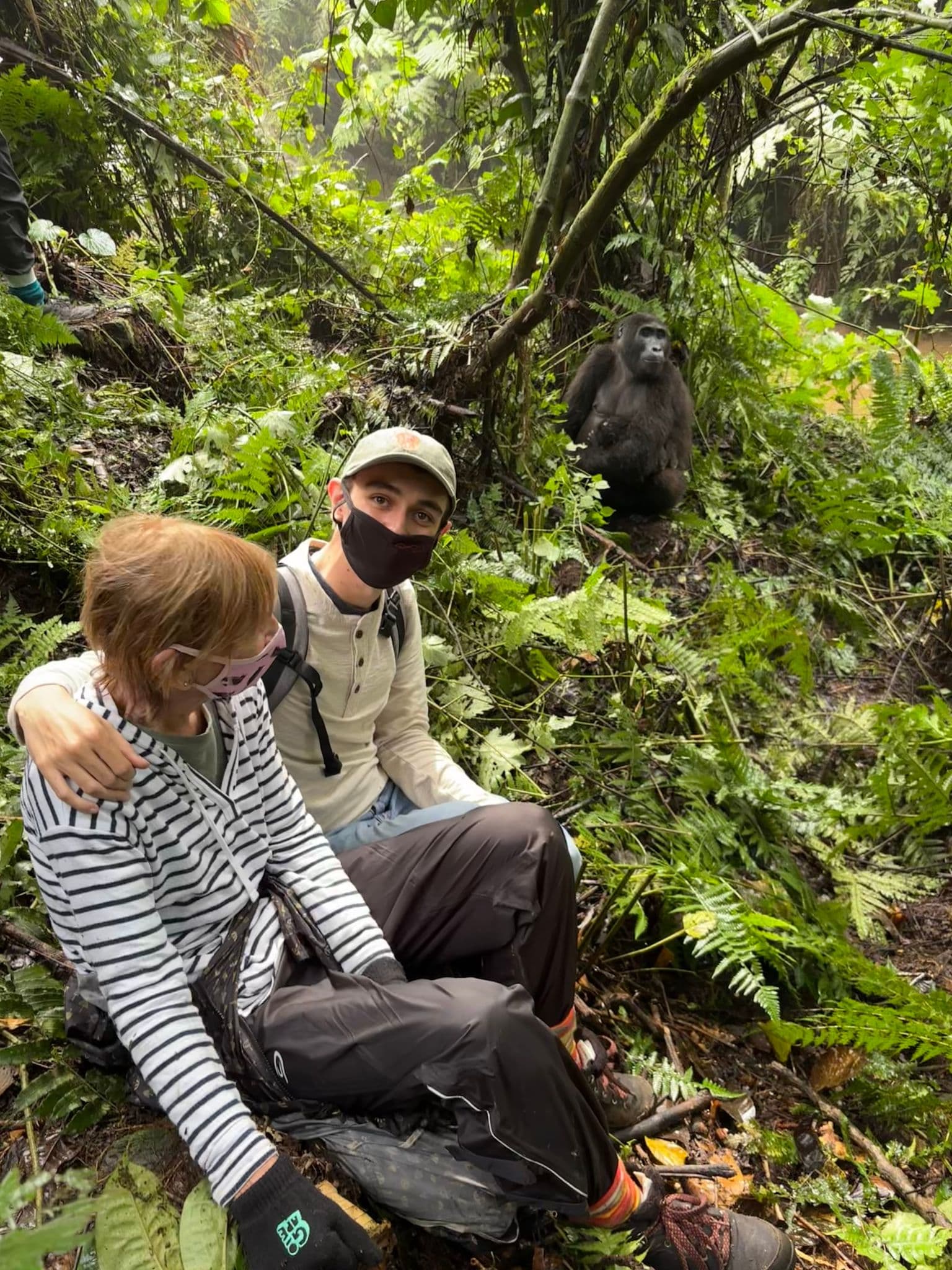 Mountain gorilla with her baby sitting among dense forest vegetation while two masked travelers sit nearby in Bwindi Impenetrable Forest, Uganda.