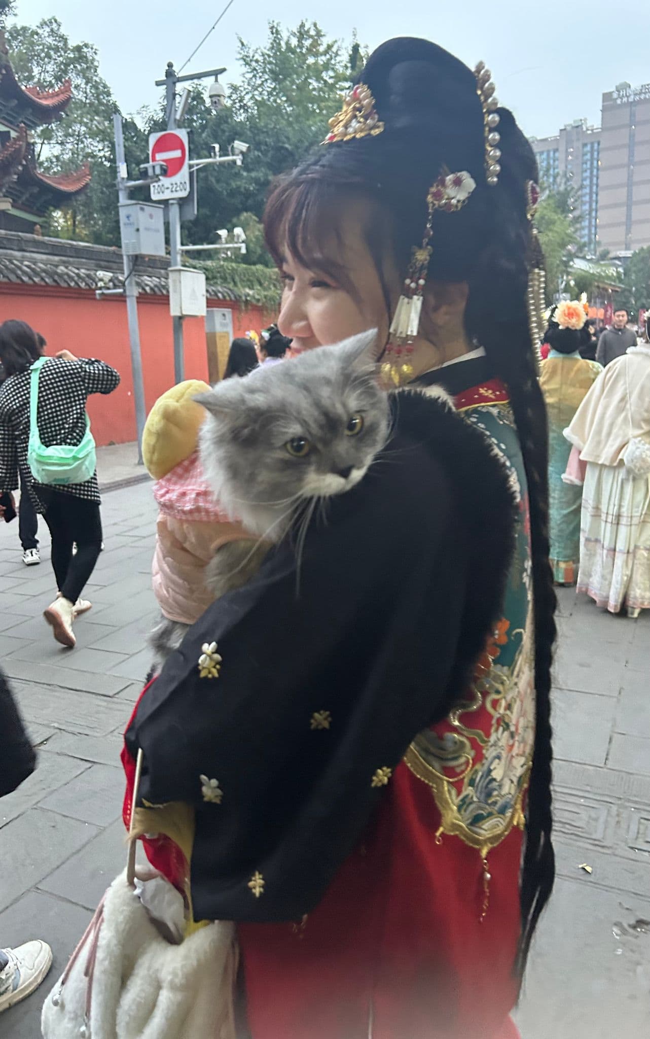 Gray longhaired cat held over a woman's shoulder while she wears traditional dress on a crowded street in Chengdu, China.