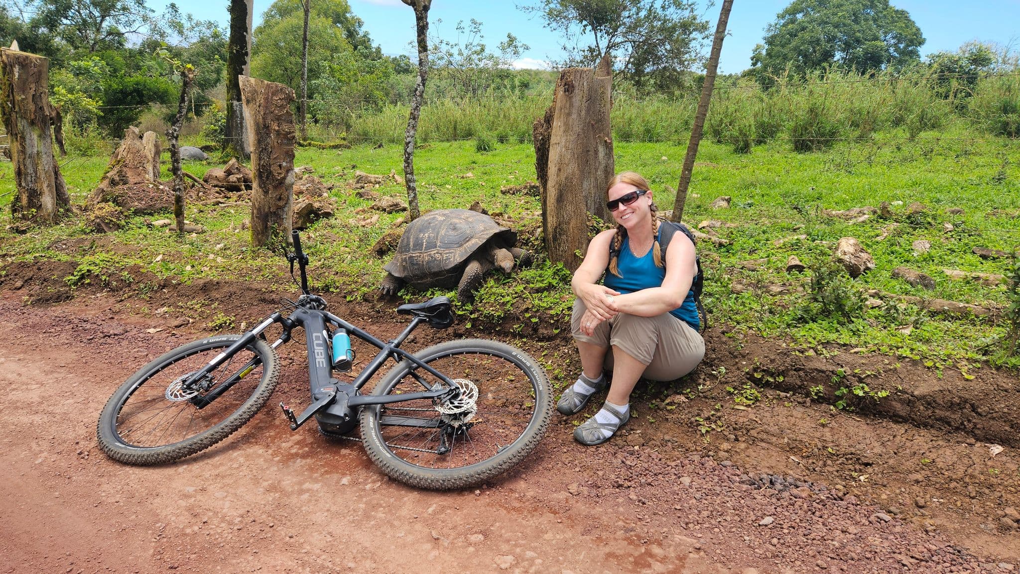 Giant Galápagos tortoise beside a cyclist sitting by her e-bike on a dirt road at El Chato Ranch, Santa Cruz, Ecuador.