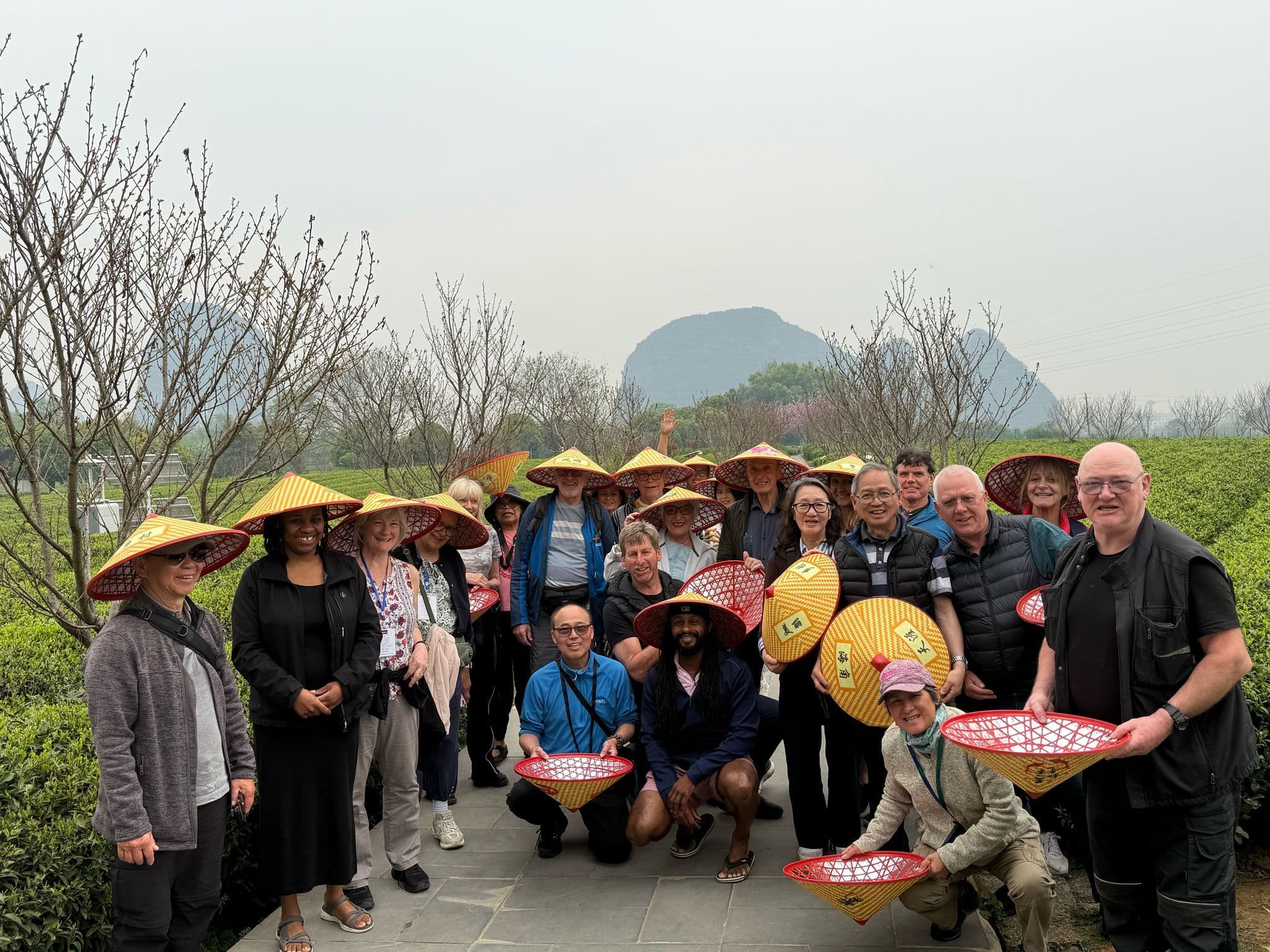 Group of travelers wearing conical hats and holding woven baskets at a tea plantation with karst hills near Guilin, China.