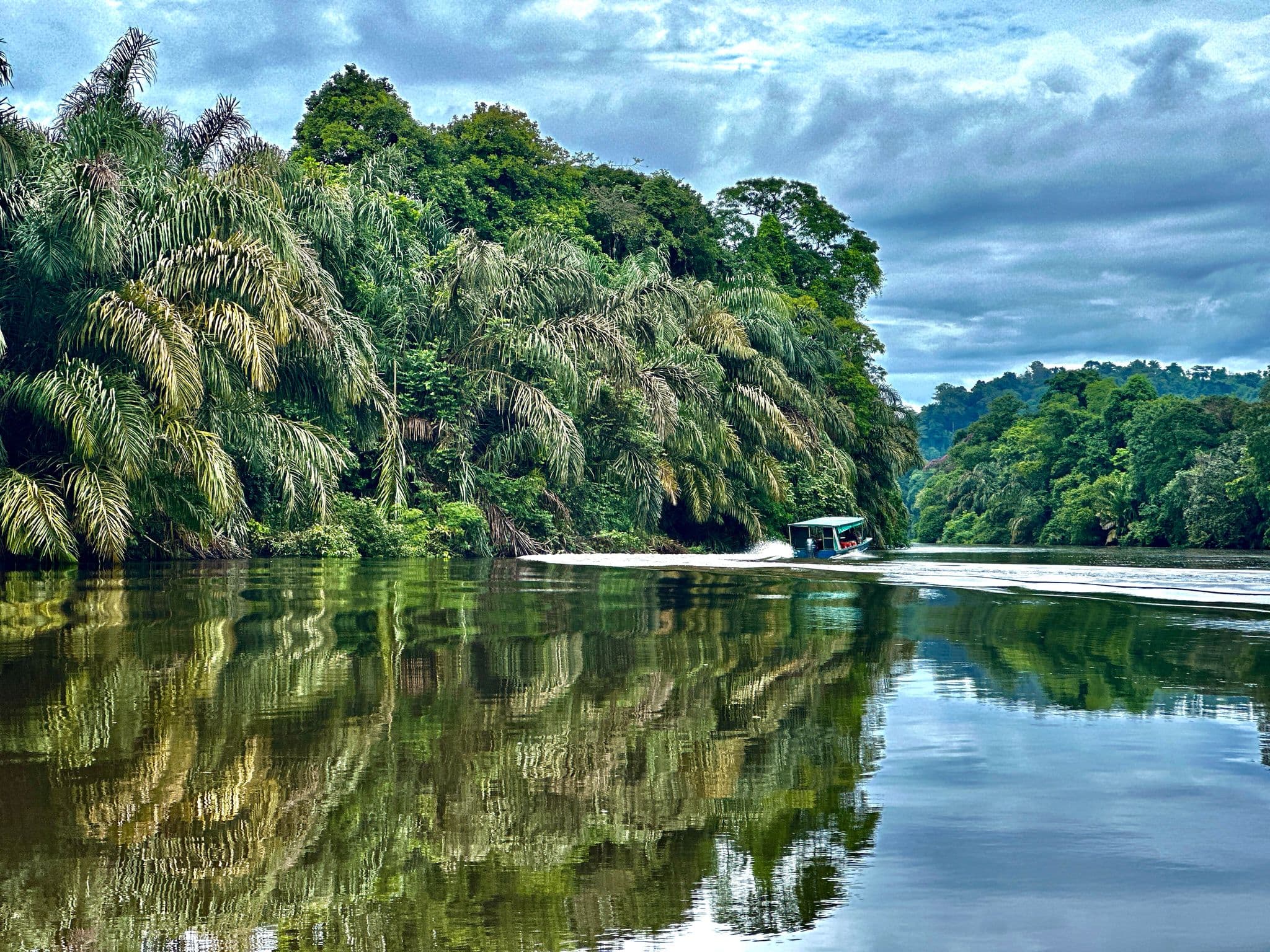 Palm-fringed river with dense rainforest reflected in calm water and a covered boat moving along, Costa Rica.
