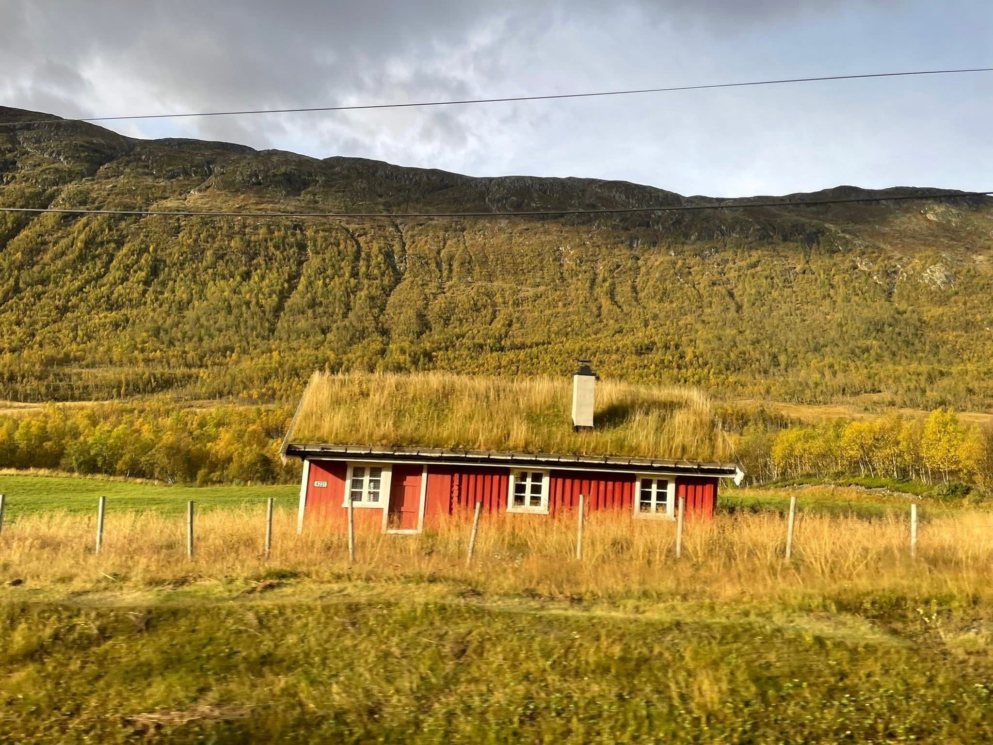 Red timber house with a grass (sod) roof standing in a grassy field beneath a wooded mountain in Norway.