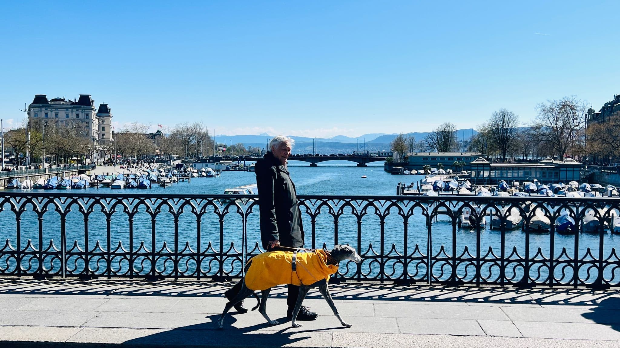 Man walking a dog in a yellow coat along a decorative bridge with Lake Zurich, boats, and mountains in Zurich, Switzerland.