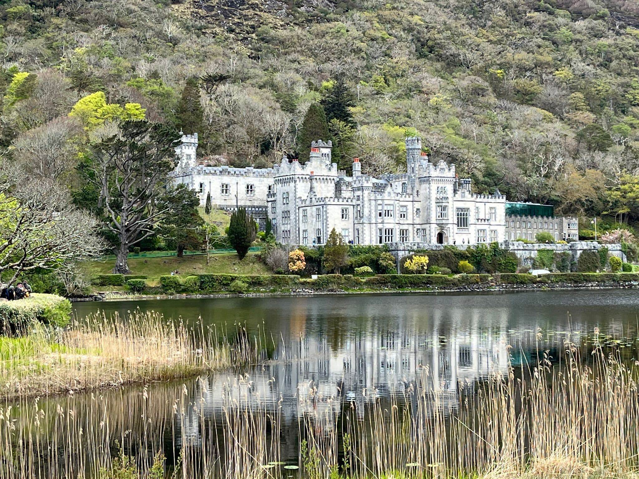 Kylemore Abbey reflected in a lake with reeds in the foreground and wooded hills behind in Connemara, Ireland.