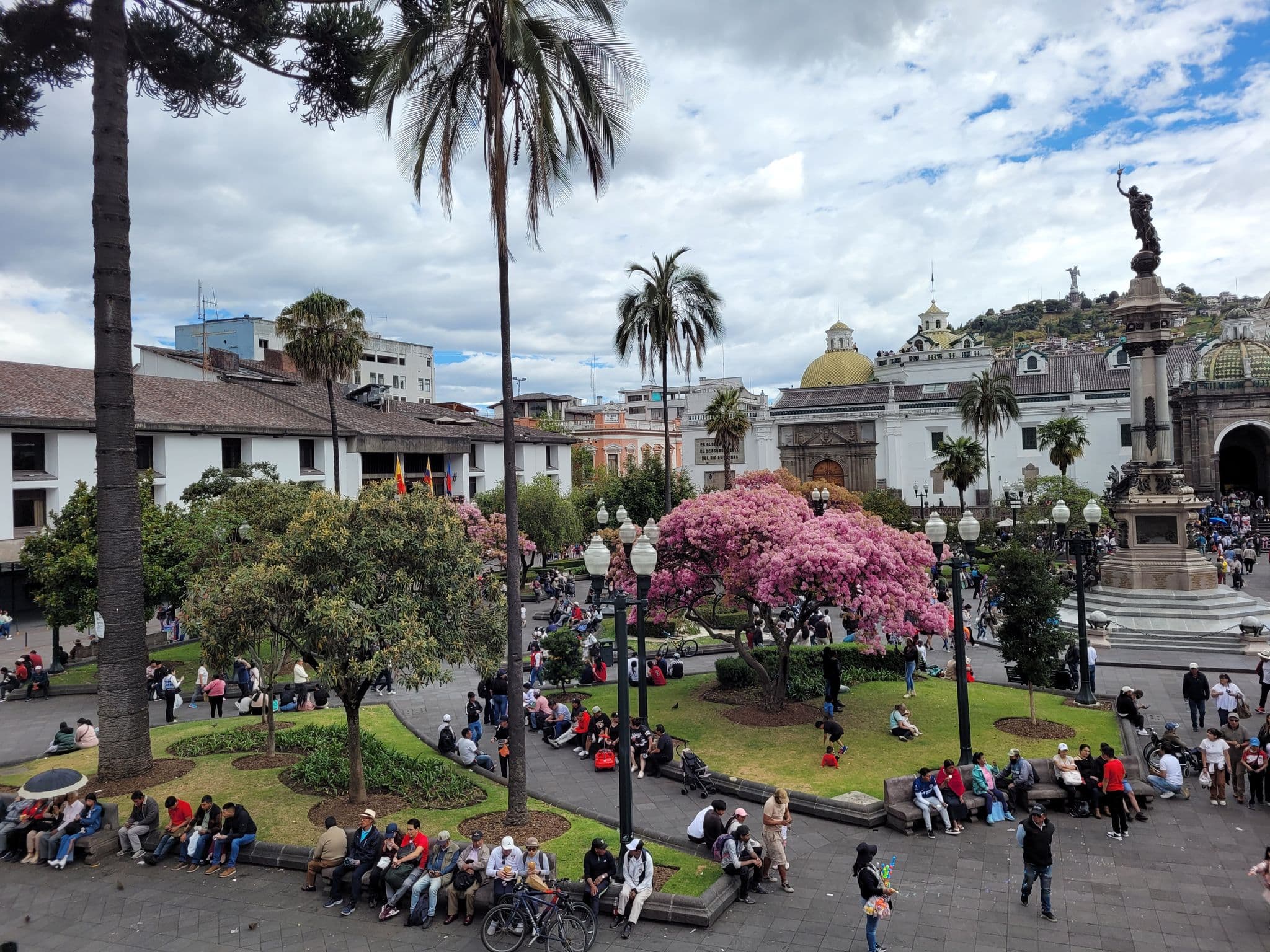 Plaza de la Independencia (Plaza Grande) in Quito, Ecuador with a pink-flowering tree and crowds of people in the central square.