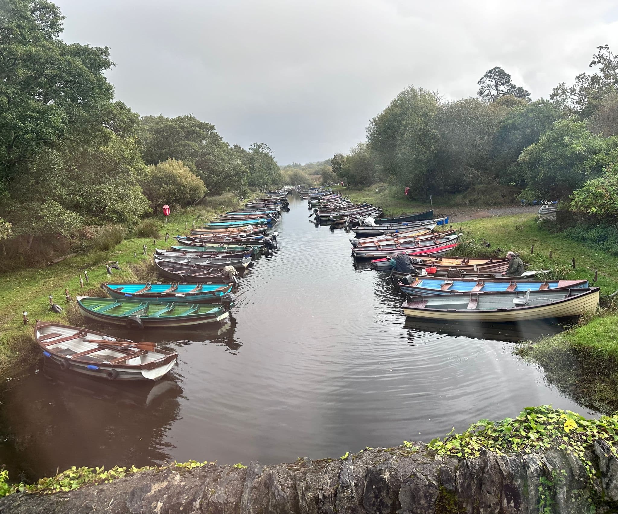Rows of colorful wooden boats tied along a narrow river at Ross Bay with tree-lined banks on a cloudy day.