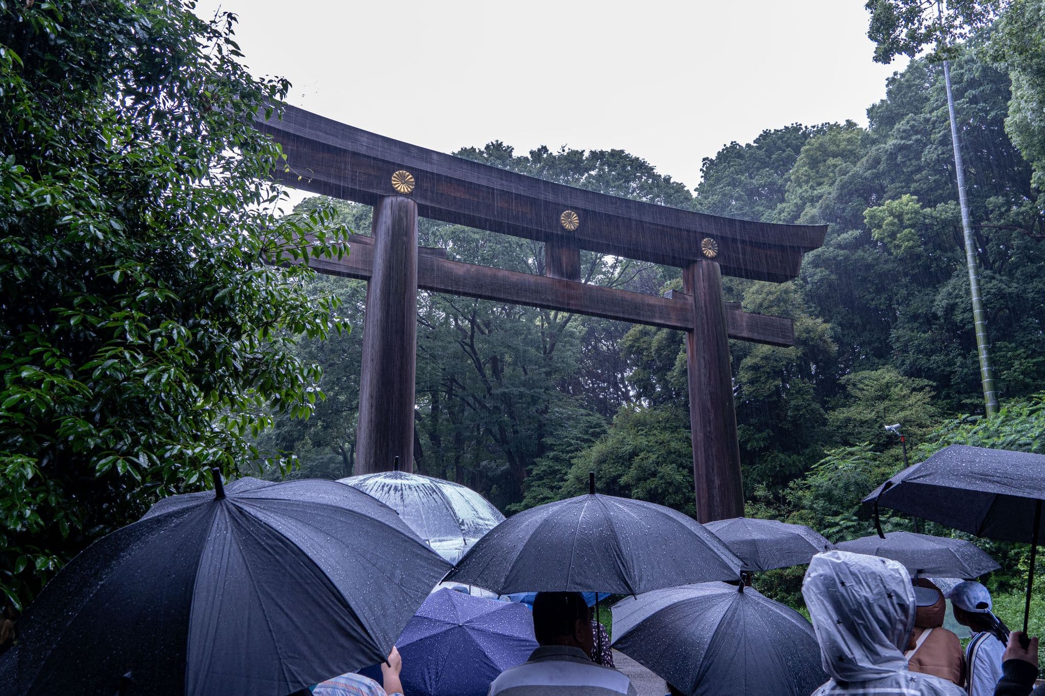 Large wooden torii gate at Meiji Shrine, Tokyo, with people holding umbrellas in the rain.