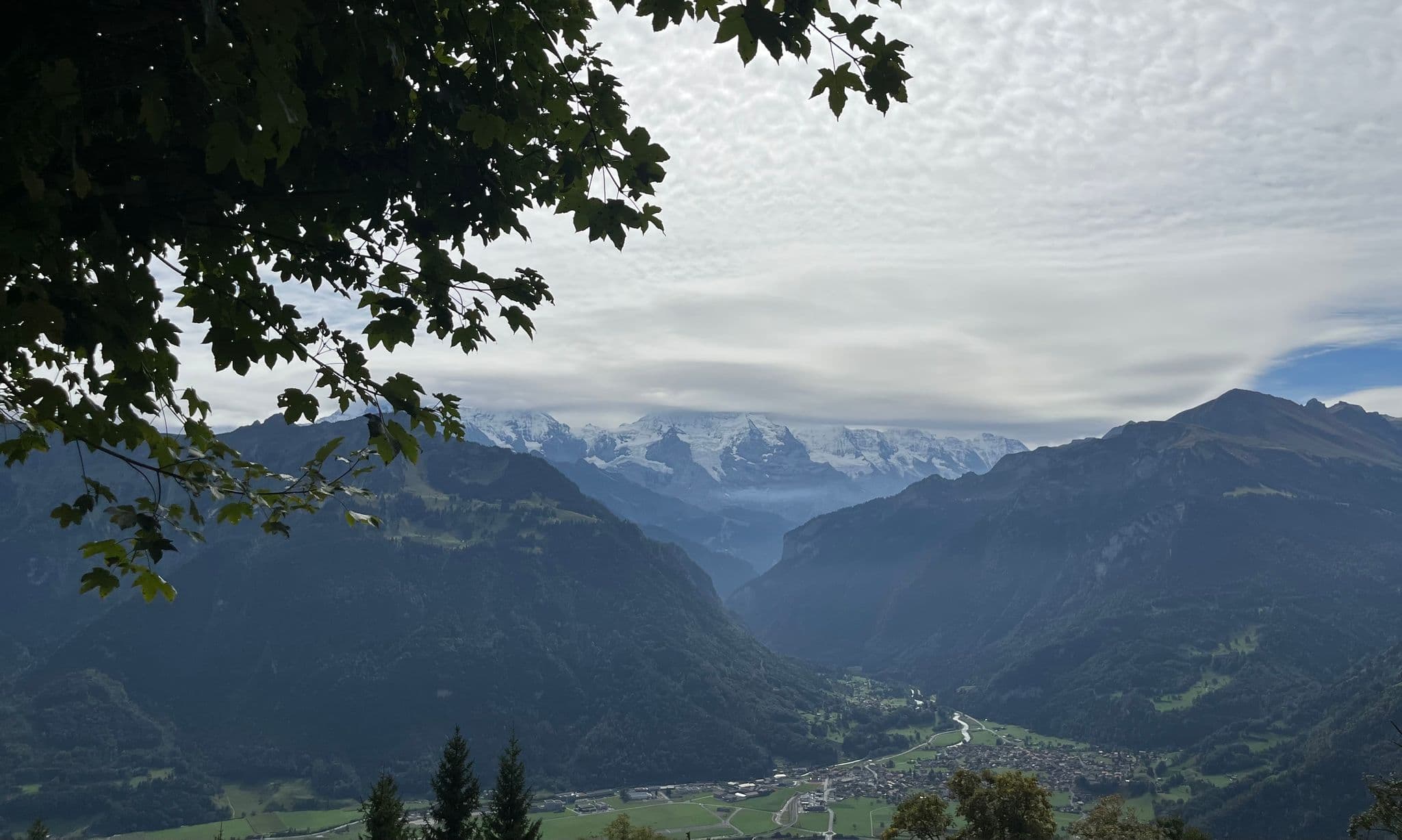 Jungfrau massif above a valley and Interlaken village, seen from a tree-lined viewpoint in Switzerland.