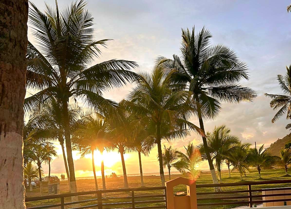 Palm trees framing a golden sunset over Jaco Beach in Jaco, Costa Rica, with silhouetted people on the shore.