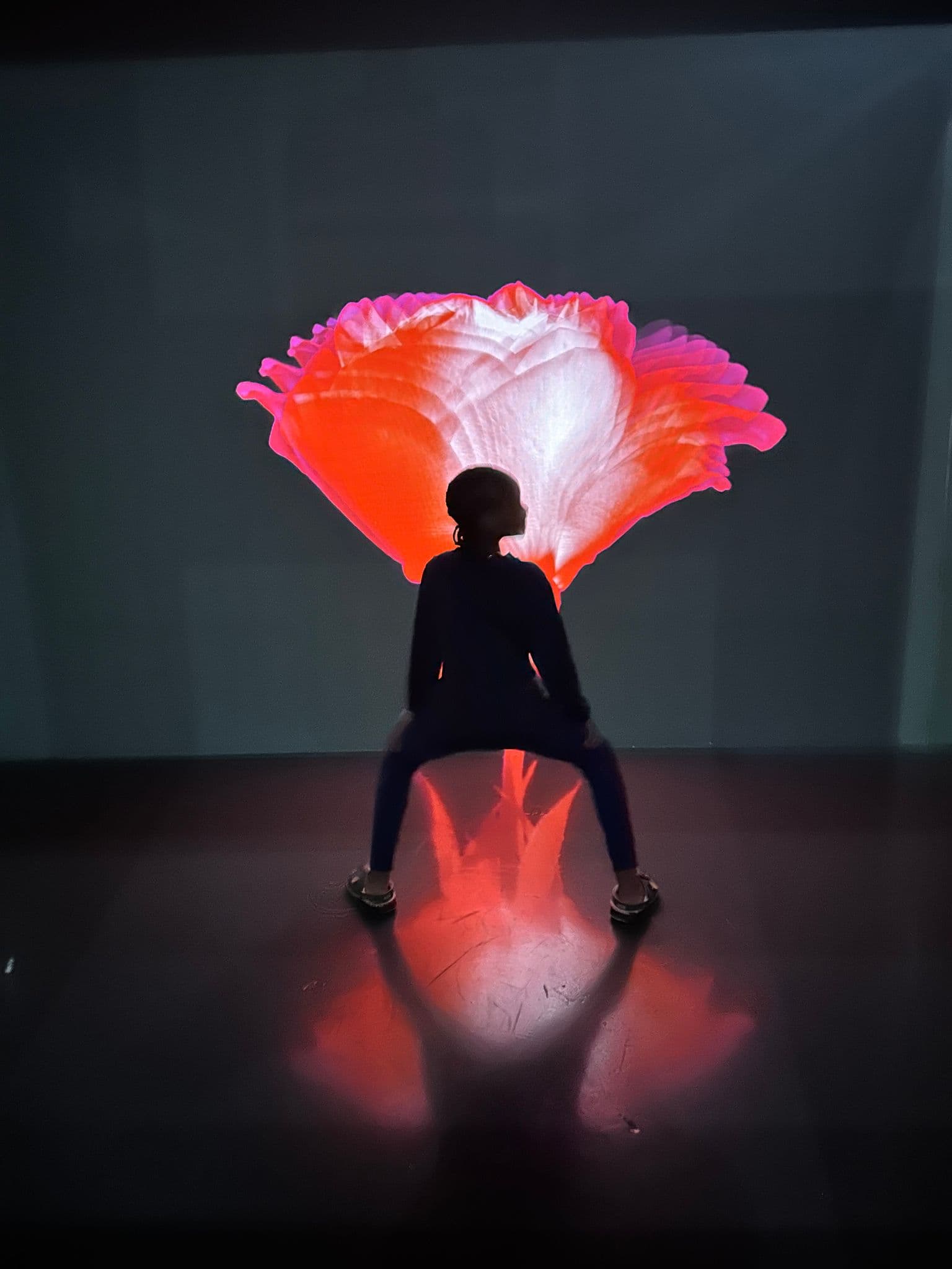 Large red flower projection behind a silhouetted person seated in an exhibit at The Dubai Mall, United Arab Emirates.