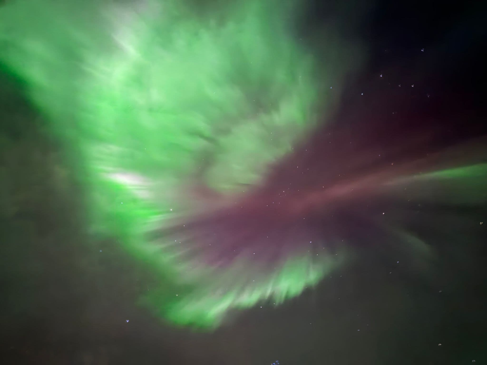 Northern Lights (aurora borealis) with green and purple curtains across the night sky over Arborg, Iceland.