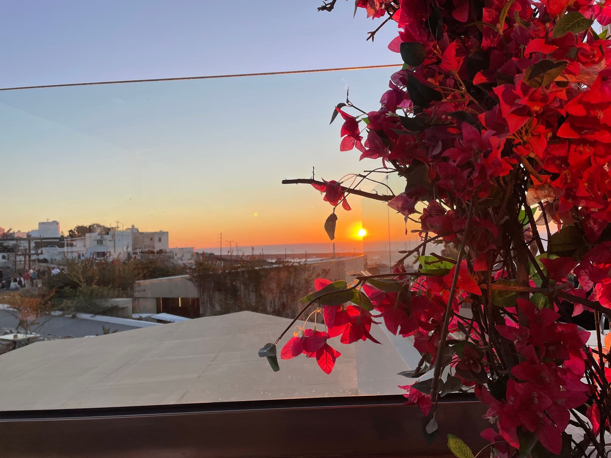 Sunset over Oia, Santorini, Greece, framed by bright pink bougainvillea on a rooftop terrace.