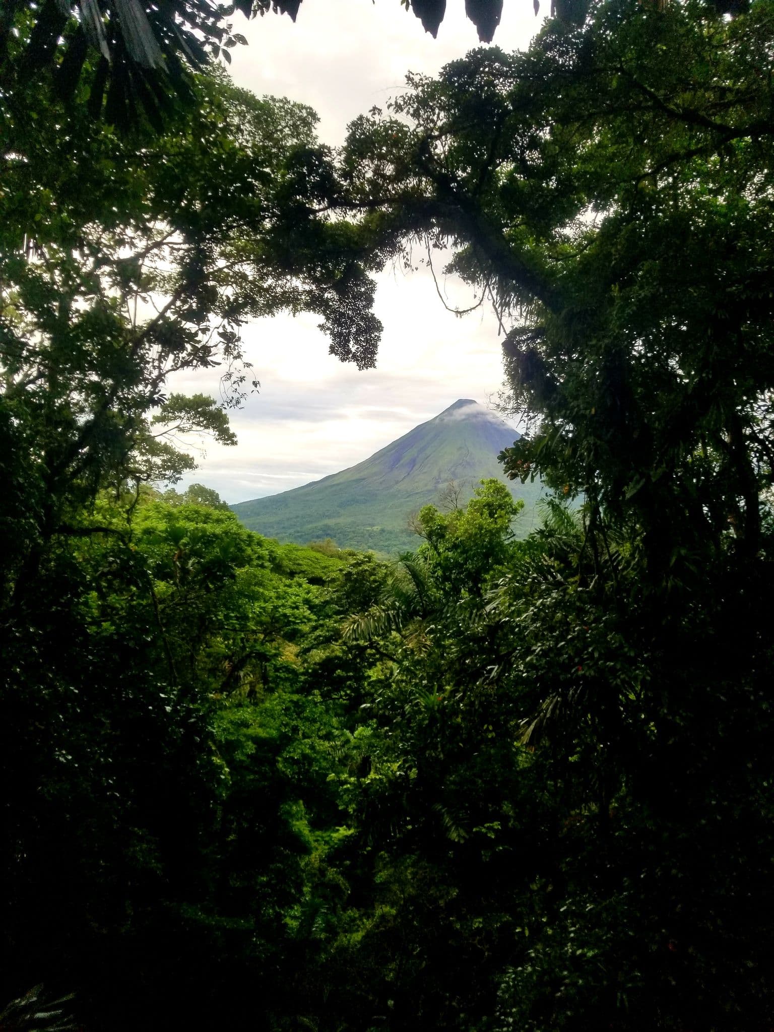 Arenal Volcano framed by dense rainforest canopy, seen from a jungle viewpoint in Costa Rica.