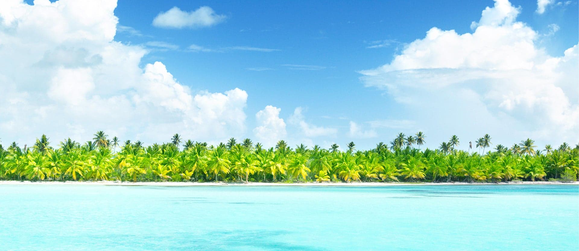Catalina Island <span class="iconos separador"></span> Punta Cana