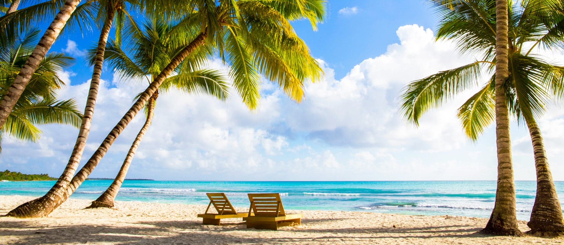 Palm Trees <span class="iconos separador"></span> Punta Cana