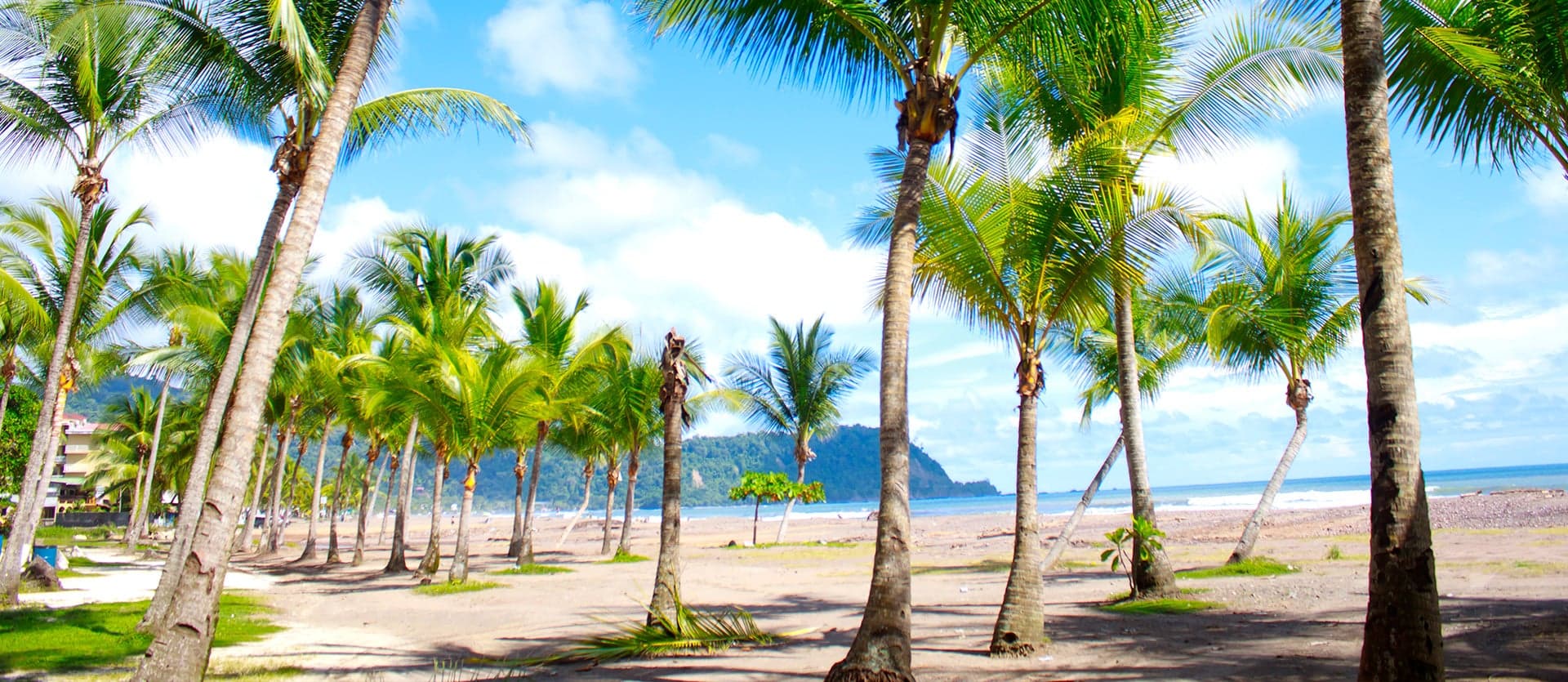 Rows of Palm Trees <span class="iconos separador"></span> Jaco Beach <span class="iconos separador"></span> Pacific Coast of Costa Rica