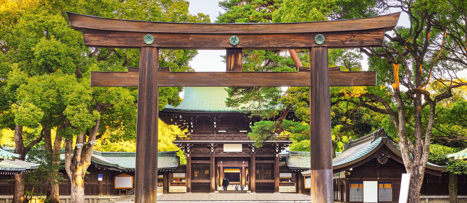 Yoyogi Park <span class="iconos separador"></span> Tokyo